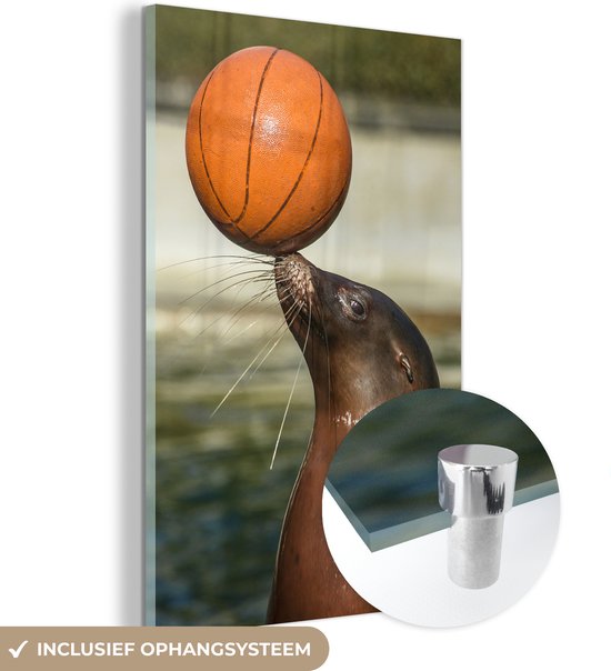 MuchoWow® Glasschilderij 60x90 cm - Schilderij acrylglas - Zeeleeuw met basketbal op snuit - Foto op glas - Schilderijen