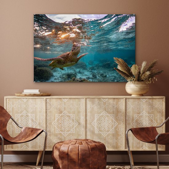 Peintures sur verre - Mer - Tortue - Couleurs - 120x80 cm - Peintures Plexiglas