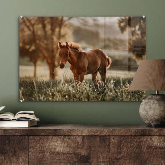 MuchoWow® Peinture sur verre - Cheval - Lumière - Prairie - 60x40 cm - Peintures sur verre acrylique - Photo sur Glas