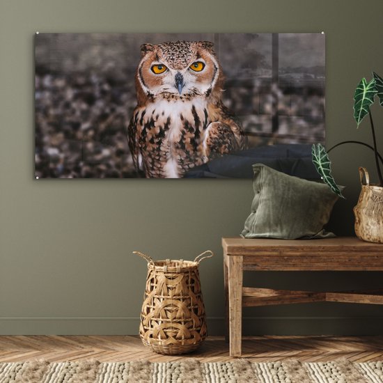 MuchoWow® Peinture sur verre - Chouette brune regardant directement dans l'appareil photo - 120x60 cm - Peintures sur verre acrylique - Photo sur Glas