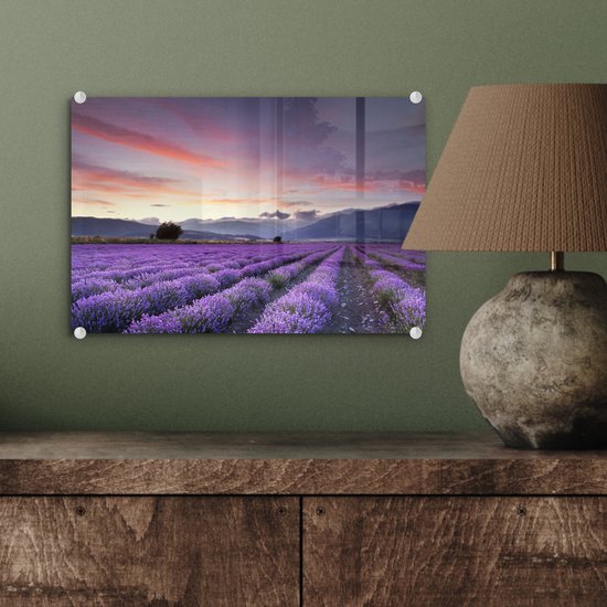 Coucher de soleil sur les lavandes Plexiglas 30x20 cm - petit - Tirage photo sur Glas (décoration murale en plexiglas)