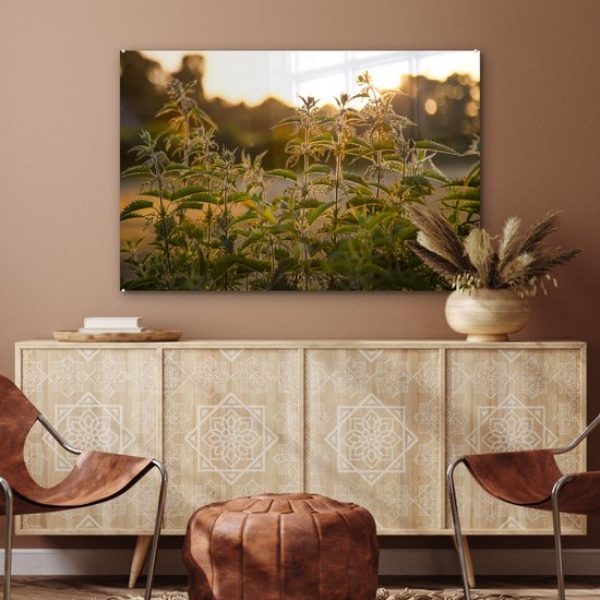 ® Glasschilderij 120x80 cm - Schilderij acrylglas - De zon gaat onder op de achtergrond bij een groep brandnetels - Foto op glas - Muurdecoratie woonkamer - Wanddecoratie slaapkamer - Schilderijen