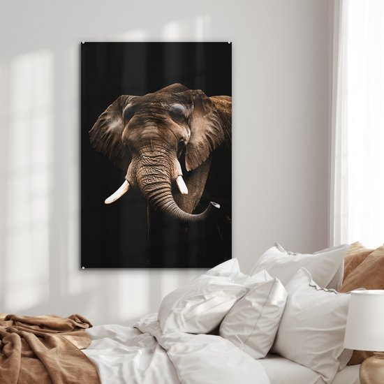 Peintures Plexiglas - Éléphant - Zwart - Animaux - 60x90 cm - Peintures sur verre