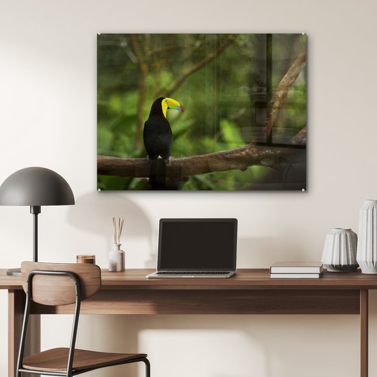 MuchoWow® Peinture sur verre 80x60 cm - Peinture sur verre acrylique - Dos d'un toucan sur une branche - Photo sur verre - Peintures