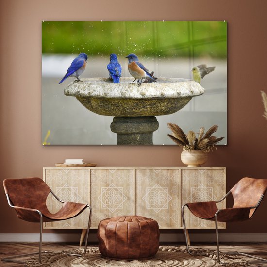 MuchoWow® Peinture sur verre 150x100 cm - Peinture sur verre acrylique - Vogel - Bain d'oiseaux - Water - Photo sur verre - Peintures