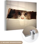 MuchoWow® Peinture sur verre 120x90 cm - Peinture acrylique sur verre - Chat qui regarde - Photo sur verre - Peintures