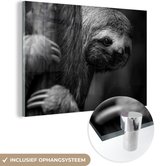 MuchoWow® Peinture sur verre 120x80 cm - Peinture sur verre acrylique - Un paresseux dans les arbres regardant la caméra - noir et blanc - Photo sur verre - Peintures