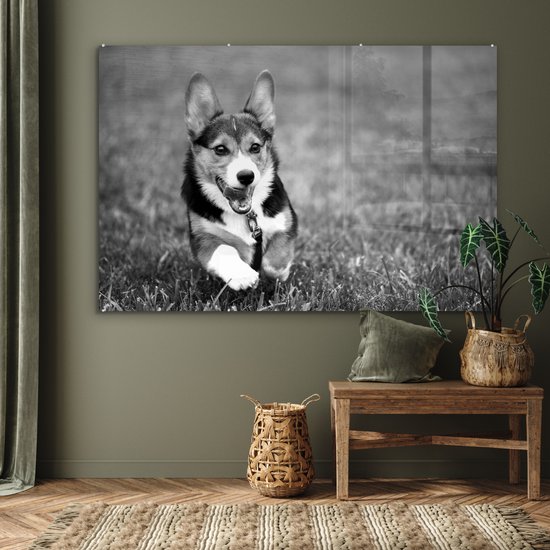 MuchoWow® Peinture sur verre 180x120 cm - Peinture sur verre acrylique - Chien qui court - noir et blanc - Photo sur verre - Peintures