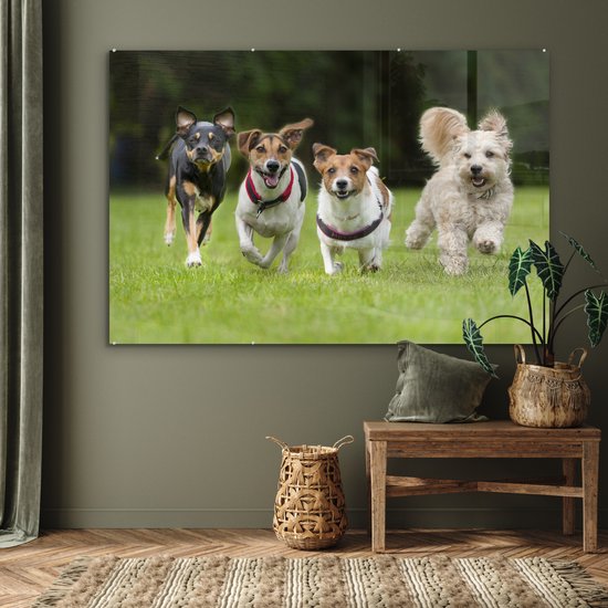 MuchoWow® Peinture sur verre 180x120 cm - Peinture sur verre acrylique - Un groupe de chiots courant à travers un champ - Photo sur verre - Peintures