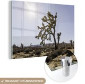 MuchoWow® Glasschilderij 60x40 cm - Schilderij acrylglas - Woestijn met bomen - Foto op glas - Schilderijen