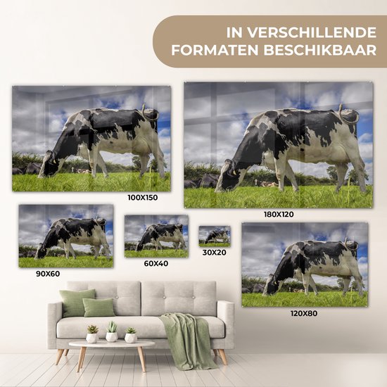 Une vache frisonne avec des nuages sombres au-dessus Plexiglas 120x80 cm - Tirage photo sur Glas (décoration murale en plexiglas)