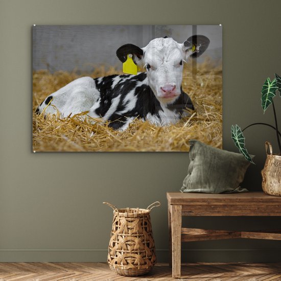 MuchoWow® Glasschilderij 120x80 cm - Schilderij acrylglas - Koe - Stro - Kalf - Dier - Foto op glas - Schilderijen