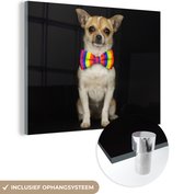 MuchoWow® Glasschilderij 120x90 cm - Schilderij acrylglas - Hond - Strik - Zwart - Foto op glas - Schilderijen