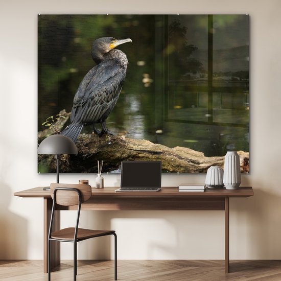 MuchoWow® Peinture sur Verre - Vogel - Branche - Water - Animaux - Cormoran - 160x120 cm - Peintures sur Verre Acrylique - Photo sur Glas