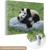 MuchoWow® Glasschilderij 120x80 cm - Schilderij acrylglas - Pandas - Gras - Steen - Foto op glas - Schilderijen