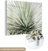 MuchoWow® Glasschilderij 40x30 cm - Schilderij acrylglas - Groen - Bladeren - Natuur - Foto op glas - Schilderijen