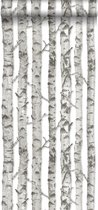 ESTAhome behangpapier berken boomstammen licht warm grijs - 138889 - 53 cm x 10,05 m