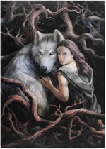 Canvas 50x70cm  - Soul Bond - Anne Stokes