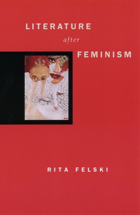 Literature after Feminism - cover
