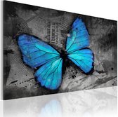 Schilderijen Op Canvas - Schilderij - The study of butterfly 60x40 - Artgeist Schilderij