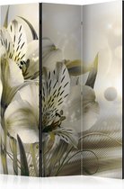 Kamerscherm - Scheidingswand - Vouwscherm - Green Daybreak [Room Dividers] 135x172 - Artgeist Vouwscherm