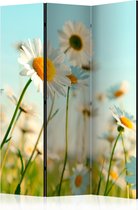 Kamerscherm - Scheidingswand - Vouwscherm - Daisies - spring meadow [Room Dividers] 135x172 - Artgeist Vouwscherm