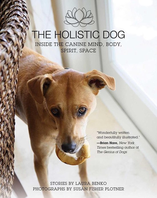 The Holistic Dog - cover