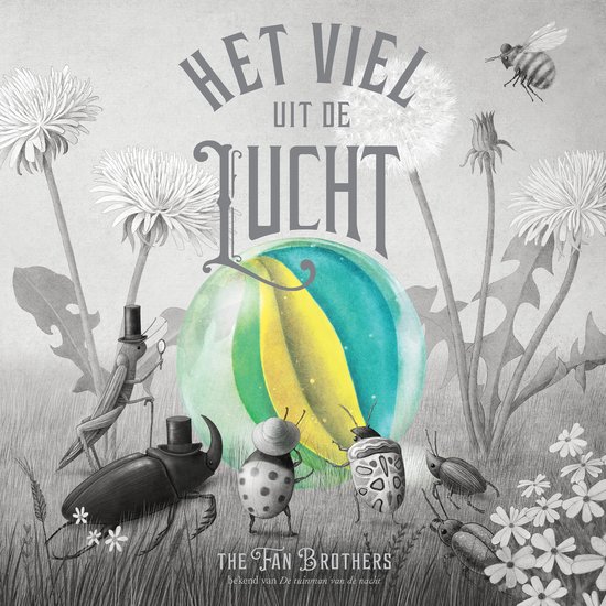 Het viel uit de lucht - cover