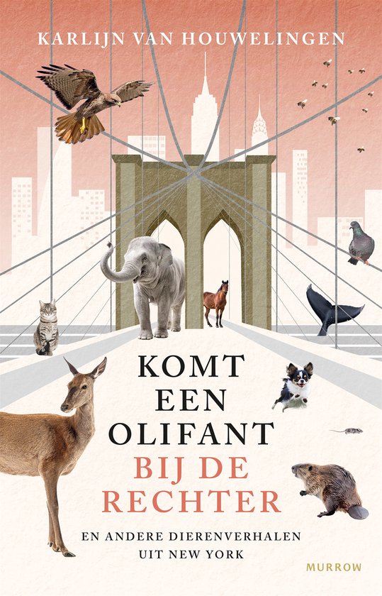 Komt een olifant bij de rechter - cover