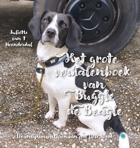 Het grote verhalenboek van Buggle de Beagle