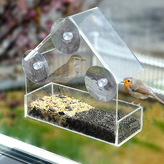SingingFriend - 𝗛𝗲𝗹𝗹𝗼 𝗗𝗲𝘅, De Stijlvolle Vogelvoeder Die Je Tuin Jarenlang Plezier Geeft Met Zijn