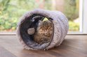 Cyperkat kijkt uit een grijze, pluizige kattentunnel.