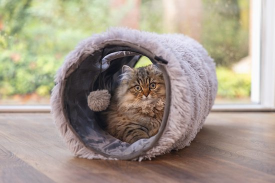 Cyperkat kijkt uit een grijze, pluizige kattentunnel.