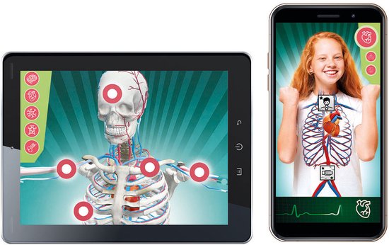 Tablet en smartphone die anatomieprojecties tonen met een skelet en een meisje.