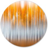 Herfstige berken in abstract ontwerp - Bomen schilderij rond - Rond kunstwerk berken - Minimalisme - Dibond muurcirkel op maat - Muur kunst - Muurcirkel aluminium 100x100 cm