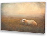 Schaap in mistige weide - Schaap canvas schilderij - Wandkunst dier - Realisme kunststroming - Wanddecoratie klassiek - Schilderijen - canvas 60x40 cm