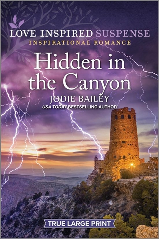 Hidden in the Canyon - cover