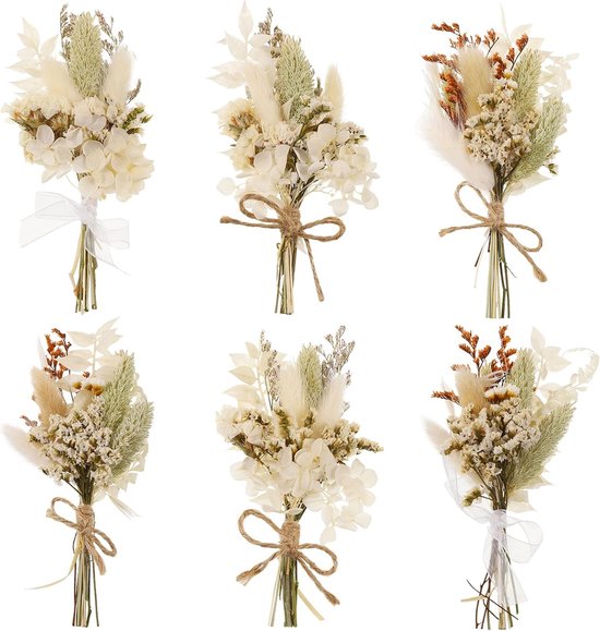 Bloemen kopen: alle kleuren online bestellen - Agri World Bloemen kopen: alle kleuren online bestellen - Agri World