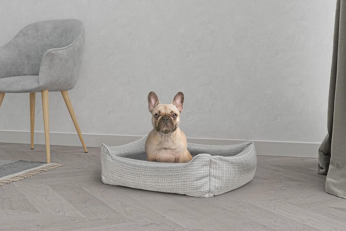 Hondenbed voor Honden en Katten - 62 x 50 x 17 cm - Parel