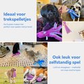 Collage: honden met blauwe en roze octopusknuffels, sommigen spelen ermee, sommigen dragen ze.