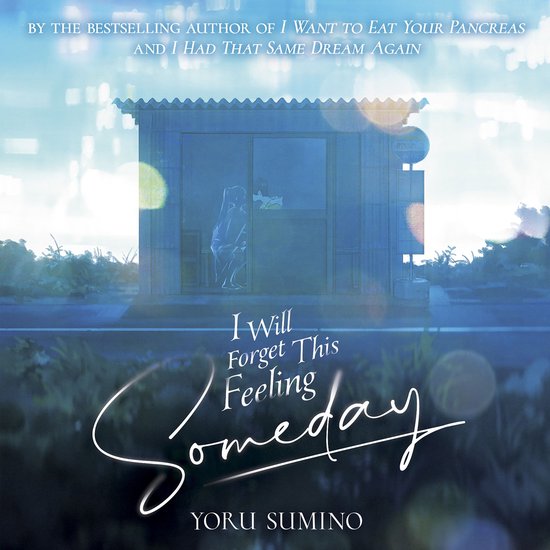 I Will Forget This Feeling Someday (Light Novel) - cover
