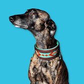 DWAM Halsband hond – Hondenhalsband – Turquoise – Leer – S – 21-26 x 4 cm – Paddy Lee