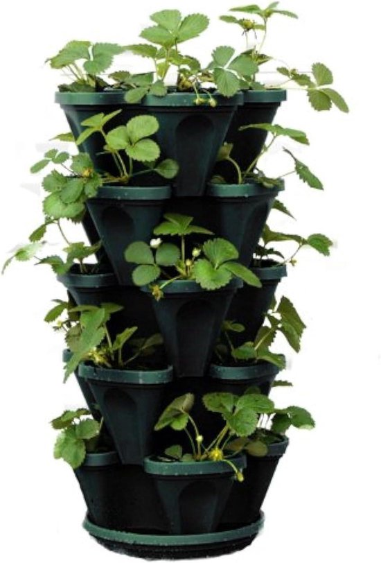 automatic watering system potted plants Solar Drip Automatic Watering System for Potted Plants 49.9FT
