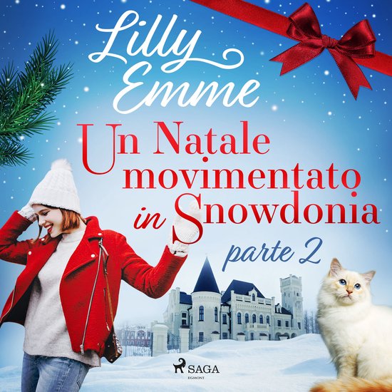 Un Natale movimentato in Snowdonia – parte 2 - cover