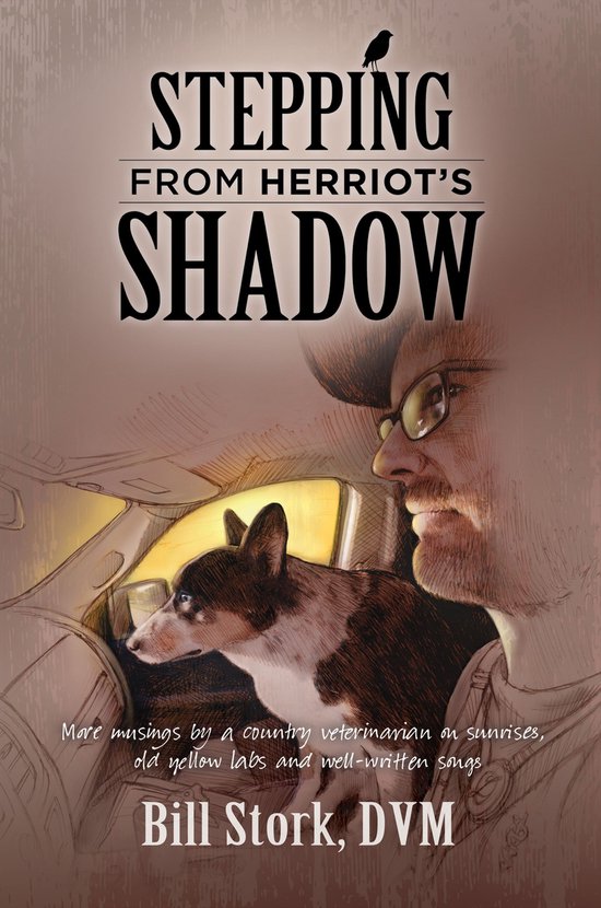 Stepping From Herriot's Shadow - cover