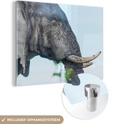 MuchoWow® Glasschilderij 160x120 cm - Schilderij acrylglas - Olifant - Dieren - Grijs - Natuur - Foto op glas - Schilderijen