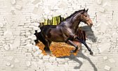 Fotobehang Bruin Paard XXL – Paard door de muur - 368 x 254 cm