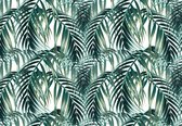 Fotobehang Palm Bladeren - Vliesbehang - 208 x 146 cm
