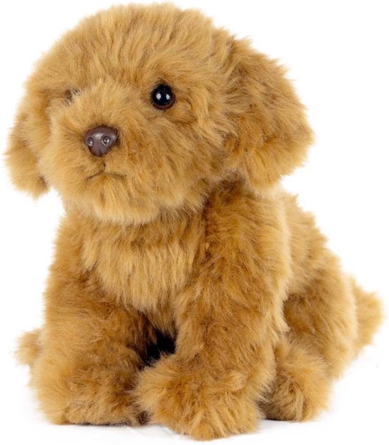 Living Nature knuffel Cavapoo