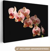 Canvas Schilderij Bloemen - Orchidee - Roze - Botanisch - Natuur - 120x80 cm - Wanddecoratie